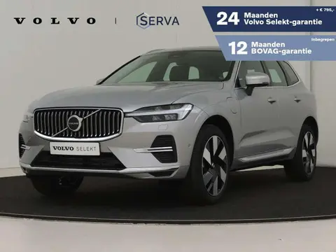 Used VOLVO XC60 Hybrid 2023 Ad 