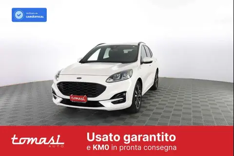 Used FORD KUGA Hybrid 2023 Ad 