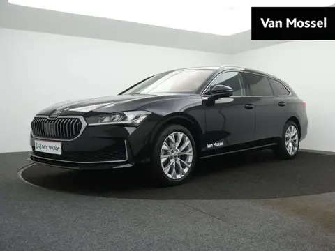 Used SKODA SUPERB Petrol 2024 Ad 