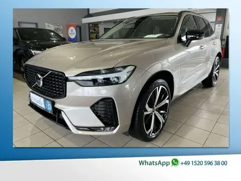 Annonce VOLVO XC60 Diesel 2023 d'occasion 