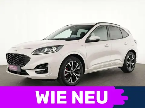 Used FORD KUGA Diesel 2020 Ad 