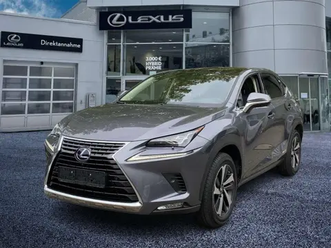 Used LEXUS NX Hybrid 2021 Ad 