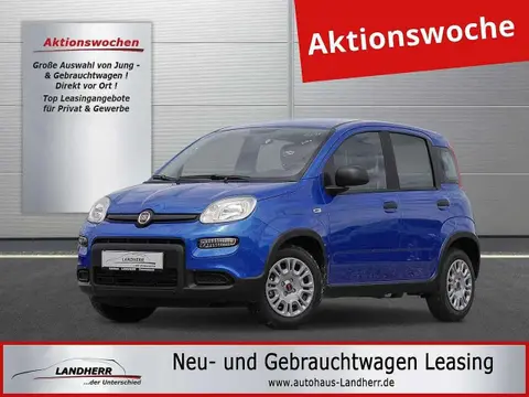 Used FIAT PANDA Petrol 2024 Ad 