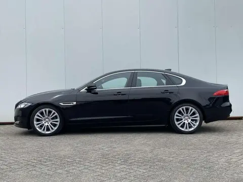 Annonce JAGUAR XF Diesel 2016 d'occasion 