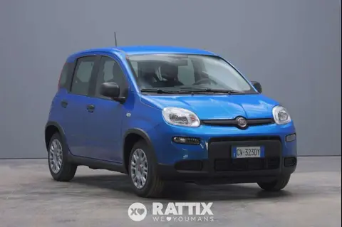 Annonce FIAT PANDA Hybride 2024 d'occasion 