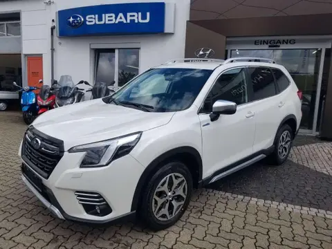 Used SUBARU FORESTER Petrol 2024 Ad 