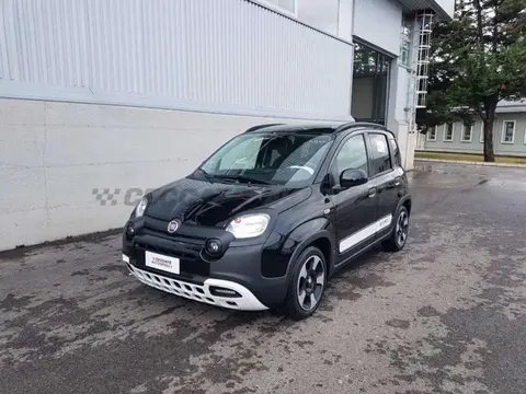 Annonce FIAT PANDA Hybride 2024 d'occasion 