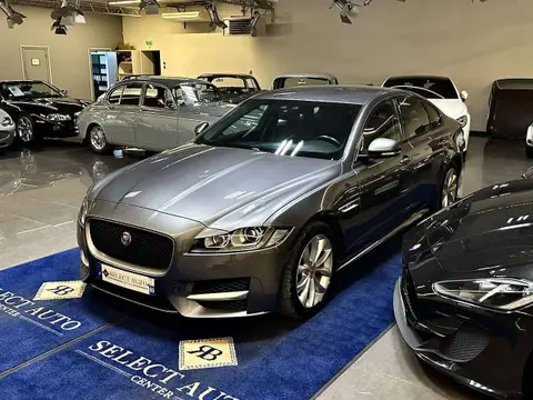 Used JAGUAR XF Diesel 2016 Ad 