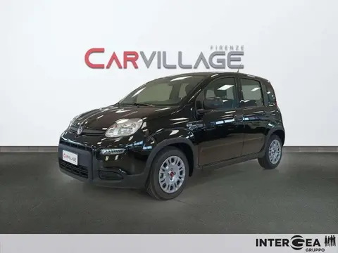 Annonce FIAT PANDA Hybride 2024 d'occasion 