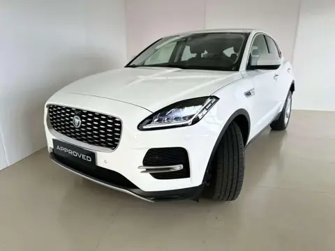 Used JAGUAR E-PACE Hybrid 2021 Ad 