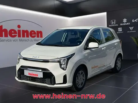 Used KIA PICANTO Petrol 2024 Ad 