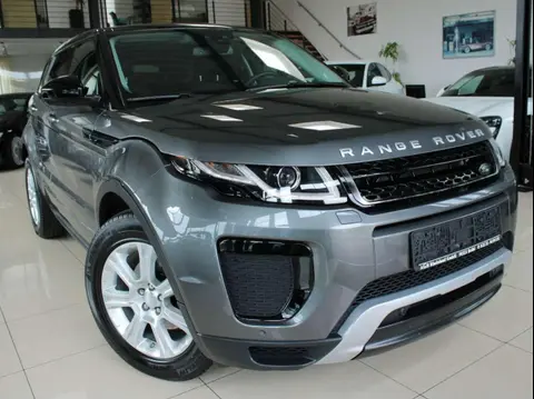 Used LAND ROVER RANGE ROVER EVOQUE Diesel 2019 Ad 