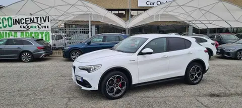 Used ALFA ROMEO STELVIO Diesel 2019 Ad 