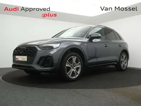 Used AUDI Q5 Hybrid 2023 Ad 