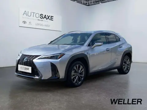 Used LEXUS UX Hybrid 2023 Ad 