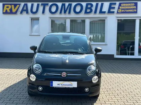 Used FIAT 500 Petrol 2023 Ad 