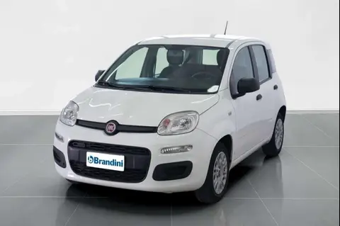 Used FIAT PANDA Petrol 2020 Ad 