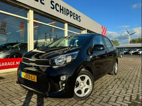 Annonce KIA PICANTO Essence 2019 d'occasion 