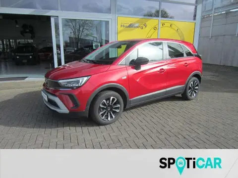 Used OPEL CROSSLAND Petrol 2023 Ad 