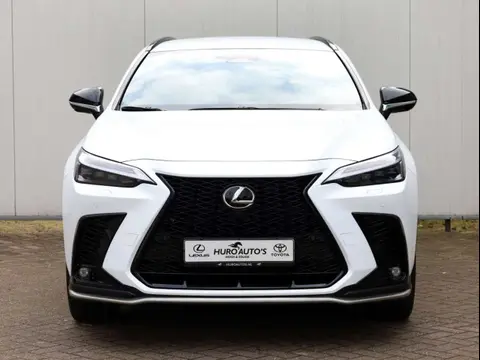 Used LEXUS NX Hybrid 2022 Ad 