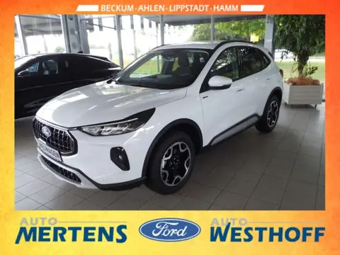 Annonce FORD KUGA Hybride 2024 d'occasion 