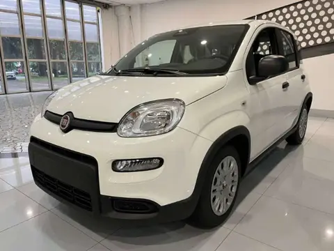 Annonce FIAT PANDA Hybride 2024 d'occasion 