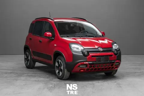 Annonce FIAT PANDA Hybride 2024 d'occasion 