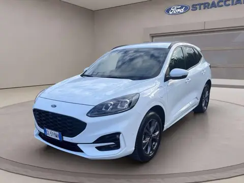 Used FORD KUGA Hybrid 2023 Ad 