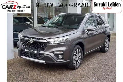 Annonce SUZUKI S-CROSS Hybride 2024 d'occasion 