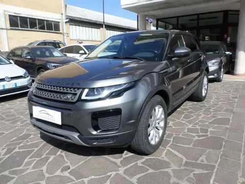 Used LAND ROVER RANGE ROVER EVOQUE Diesel 2019 Ad 