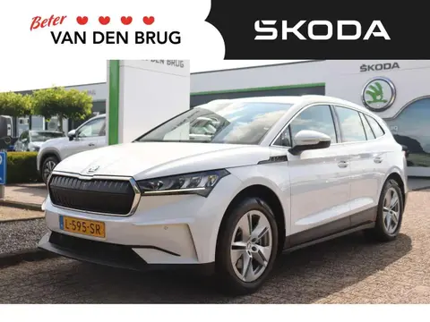 Used SKODA ENYAQ Electric 2021 Ad 