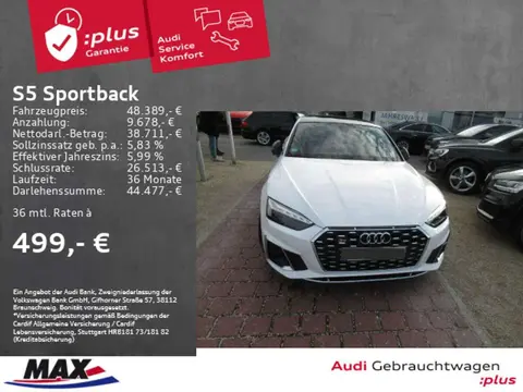 Annonce AUDI S5 Diesel 2021 d'occasion 