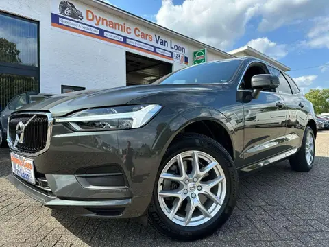 Used VOLVO XC60 Diesel 2019 Ad 