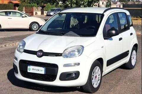 Used FIAT PANDA Diesel 2017 Ad 