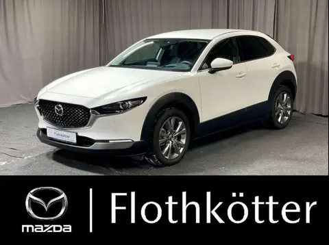 Annonce MAZDA CX-30 Diesel 2019 d'occasion 