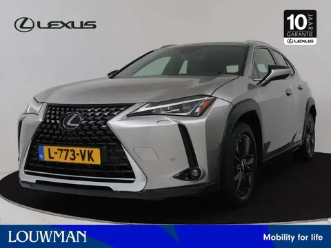 Used LEXUS UX Hybrid 2019 Ad 