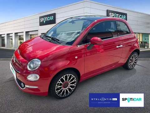 Used FIAT 500 Petrol 2023 Ad 