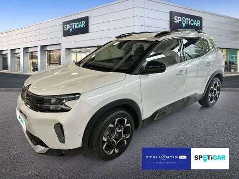 Annonce CITROEN C5 AIRCROSS Essence 2023 d'occasion 