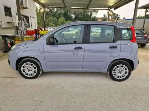 Annonce FIAT PANDA Essence 2020 d'occasion 