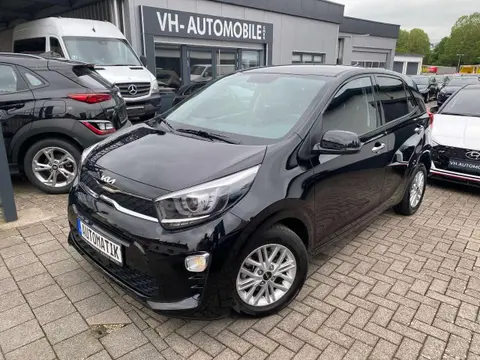 Annonce KIA PICANTO Essence 2024 d'occasion 