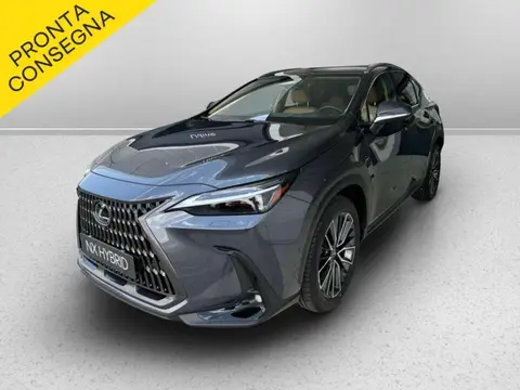 Used LEXUS NX Hybrid 2024 Ad 