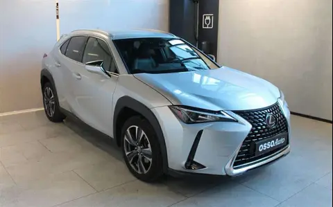 Used LEXUS UX Hybrid 2019 Ad 