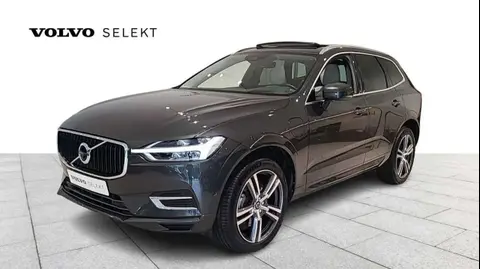 Annonce VOLVO XC60 Hybride 2019 d'occasion Belgique