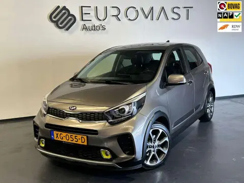 Annonce KIA PICANTO Essence 2019 d'occasion 