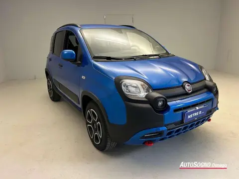 Used FIAT PANDA Hybrid 2023 Ad 