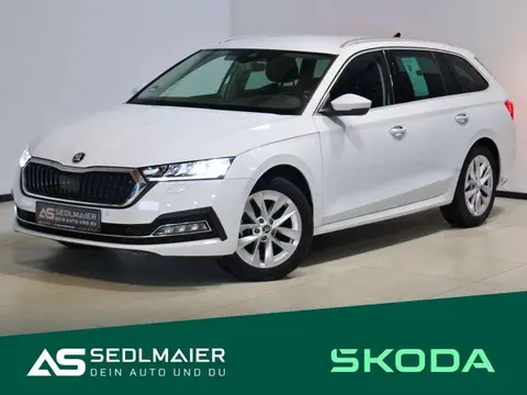 Annonce SKODA OCTAVIA Diesel 2022 d'occasion 