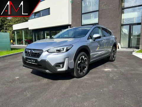 Annonce SUBARU XV Essence 2023 d'occasion 