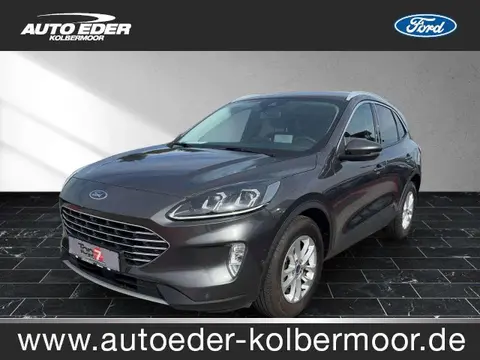 Used FORD KUGA Diesel 2023 Ad 