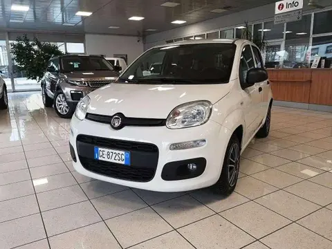 Annonce FIAT PANDA Hybride 2021 d'occasion 