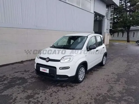 Annonce FIAT PANDA Hybride 2024 d'occasion 